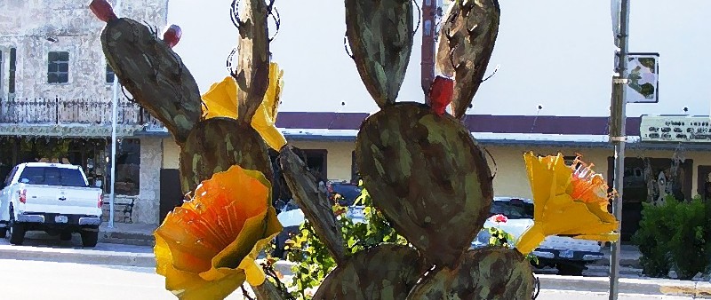 A prickly pear cactus with yellow blooms stands in front of a street in Marble Falls, with parked cars and buildings from the Sculpture on Main backdrop.