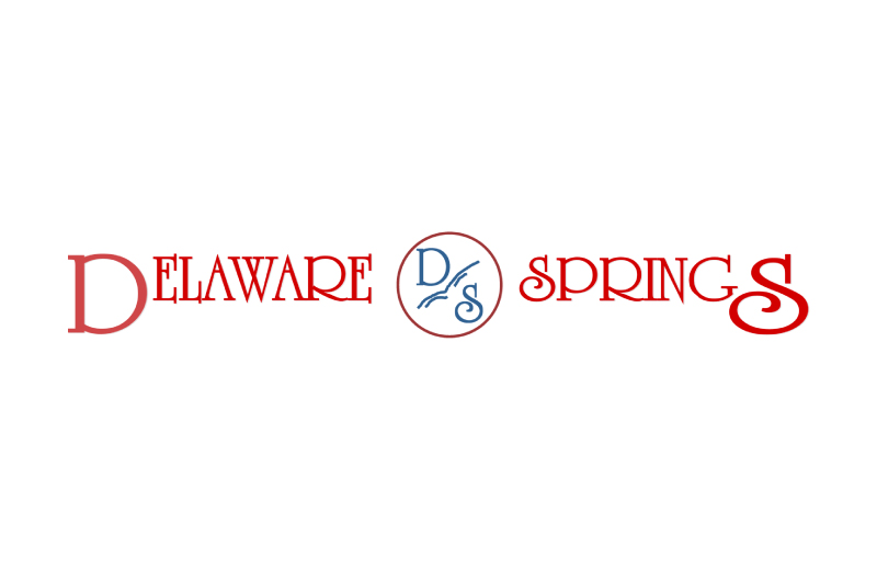 Logo with red text reading Delaware Springs, featuring an ornate D and S. In the center is a blue circle with D S and a wave graphic inside, reflecting the elegance of Delaware Springs Golf Course. The D and S are large and stylized.