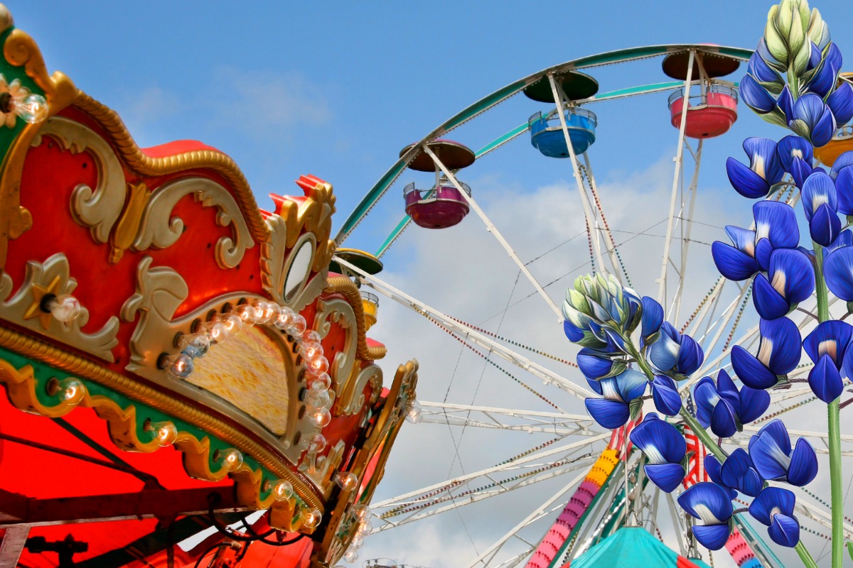 Burnet Bluebonnet Festival blooms, April 10-12
