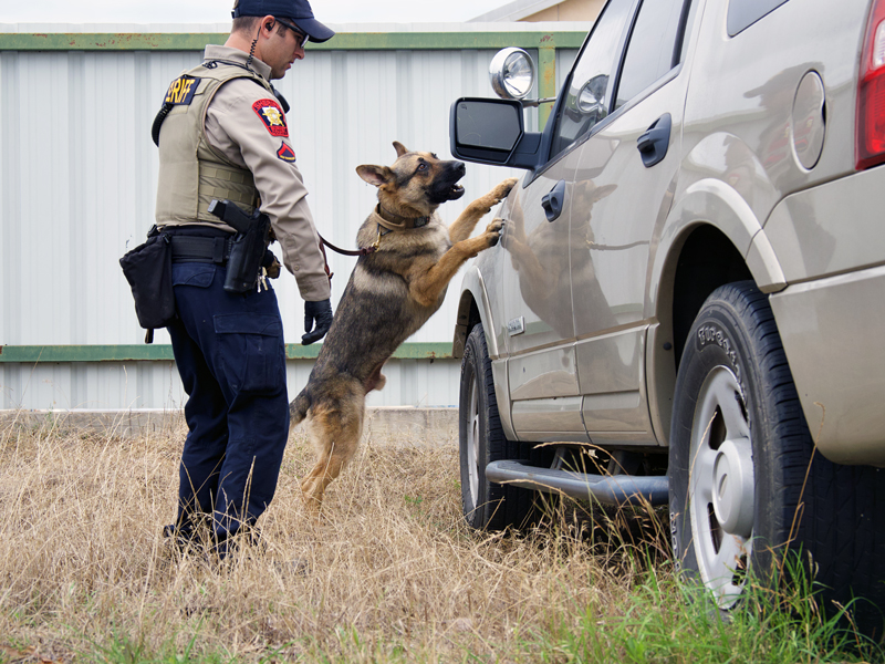 K9 Ron and Deputy Kyle Ciolfi