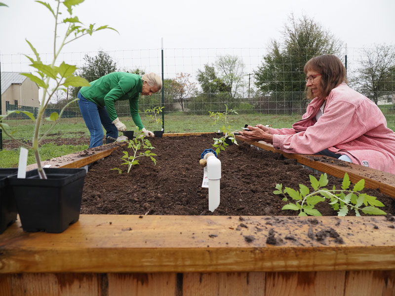Marble Falls community garden makes its move